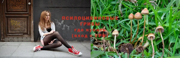 амф Абаза