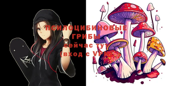 крисы Новокубанск