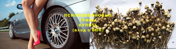 ECSTASY Абинск