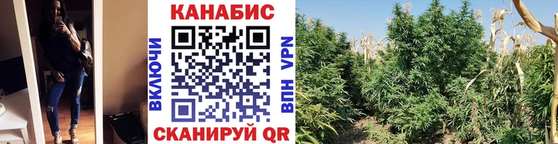 маркетплейс формула  купить наркотик  Лакинск  Шишки марихуана индика 
